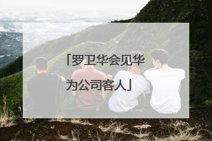 罗卫华会见华为公司客人