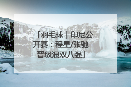 羽毛球｜印尼公开赛：程星/张驰晋级混双八强