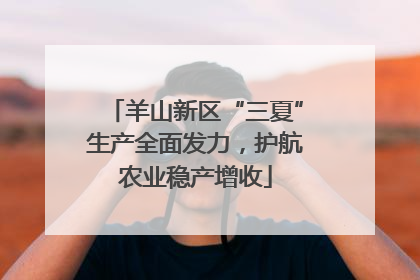 羊山新区“三夏”生产全面发力，护航农业稳产增收
