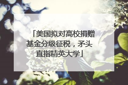 美国拟对高校捐赠基金分级征税，矛头直指精英大学