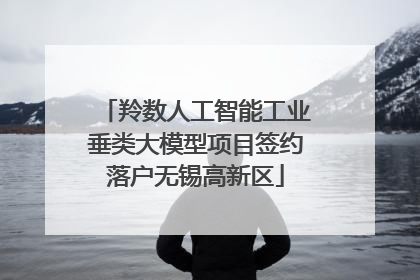 羚数人工智能工业垂类大模型项目签约落户无锡高新区