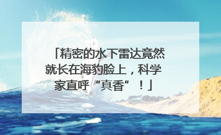 精密的水下雷达竟然就长在海豹脸上，科学家直呼“真香”！