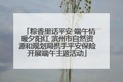 粽香里话平安 端午情暖夕阳红 滨州市自然资源和规划局携手平安保险开展端午主题活动
