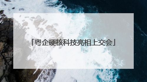 粤企硬核科技亮相上交会