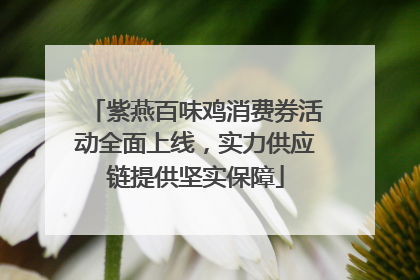 紫燕百味鸡消费券活动全面上线，实力供应链提供坚实保障