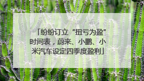 纷纷订立“扭亏为盈”时间表，蔚来、小鹏、小米汽车设定四季度盈利