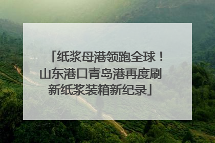 纸浆母港领跑全球！山东港口青岛港再度刷新纸浆装箱新纪录