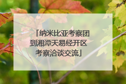 纳米比亚考察团到湘潭天易经开区考察洽谈交流