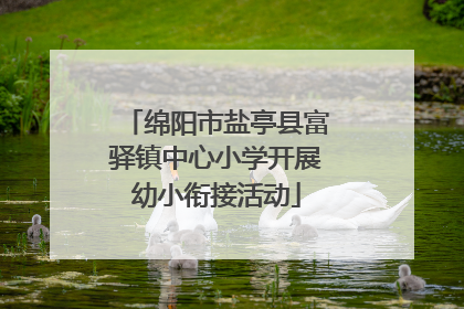 绵阳市盐亭县富驿镇中心小学开展幼小衔接活动