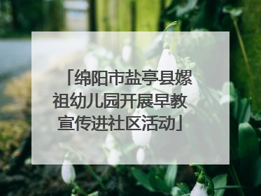 绵阳市盐亭县嫘祖幼儿园开展早教宣传进社区活动