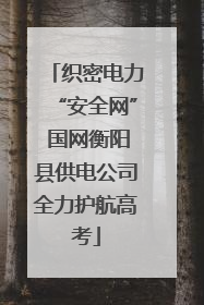 织密电力“安全网” 国网衡阳县供电公司全力护航高考