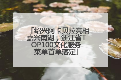 绍兴阿卡贝拉亮相嘉兴南湖，浙江省TOP100文化服务菜单首单落定