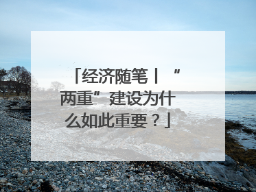 经济随笔丨“两重”建设为什么如此重要？
