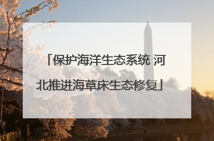保护海洋生态系统 河北推进海草床生态修复