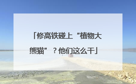 修高铁碰上“植物大熊猫”？他们这么干