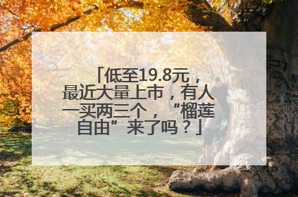 低至19.8元，最近大量上市，有人一买两三个，“榴莲自由”来了吗？