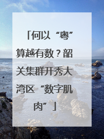 何以“粤”算越有数？韶关集群开秀大湾区“数字肌肉”