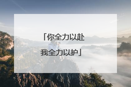 你全力以赴 我全力以护