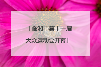 临湘市第十一届大众运动会开幕