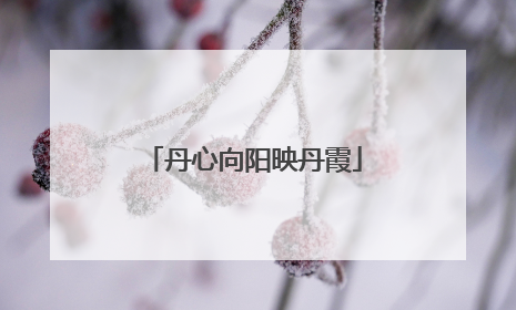 丹心向阳映丹霞