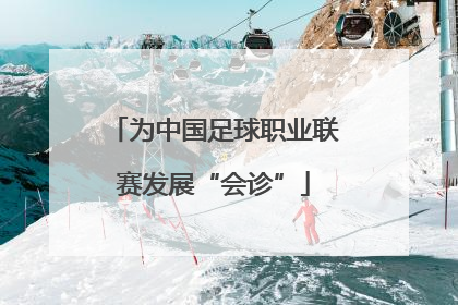 为中国足球职业联赛发展“会诊”
