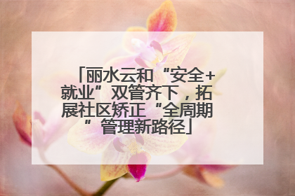 丽水云和“安全+就业”双管齐下，拓展社区矫正“全周期”管理新路径