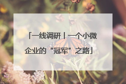 一线调研丨一个小微企业的“冠军”之路