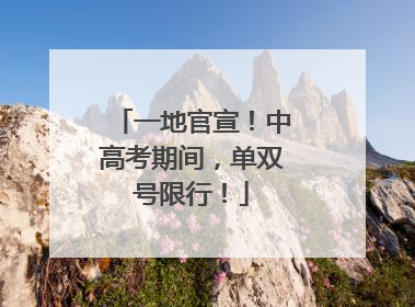 一地官宣！中高考期间，单双号限行！