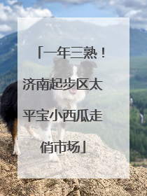 一年三熟！济南起步区太平宝小西瓜走俏市场