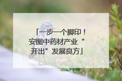 一步一个脚印！安图中药材产业“开出”发展良方
