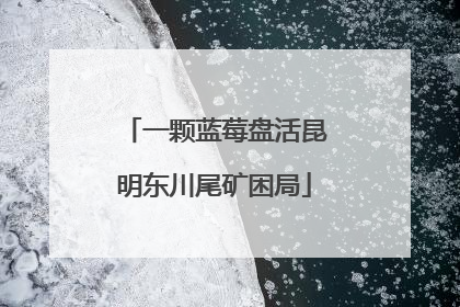 一颗蓝莓盘活昆明东川尾矿困局