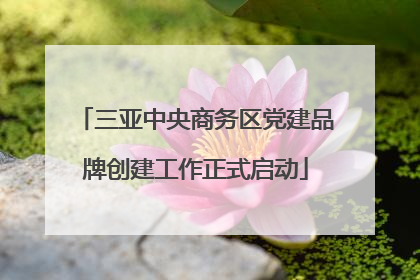 三亚中央商务区党建品牌创建工作正式启动