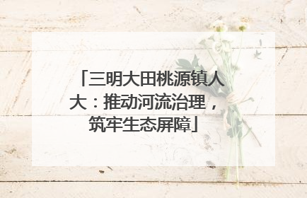 三明大田桃源镇人大：推动河流治理，筑牢生态屏障