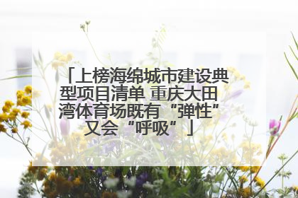 上榜海绵城市建设典型项目清单 重庆大田湾体育场既有“弹性”又会“呼吸”