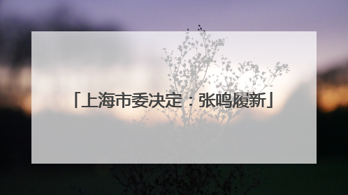 上海市委决定：张鸣履新
