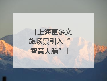 上海更多文旅场景引入“智慧大脑”