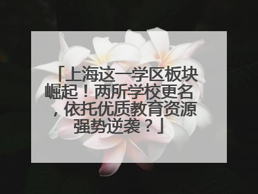 上海这一学区板块崛起！两所学校更名，依托优质教育资源强势逆袭？