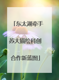东太湖牵手苏大描绘科创合作新蓝图