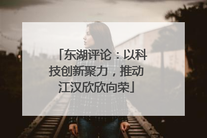 东湖评论：以科技创新聚力，推动江汉欣欣向荣