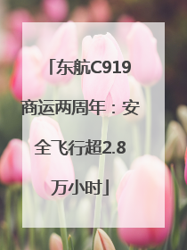 东航C919商运两周年：安全飞行超2.8万小时