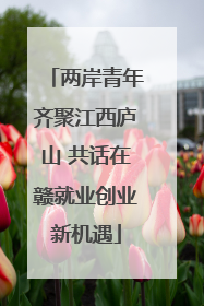 两岸青年齐聚江西庐山 共话在赣就业创业新机遇