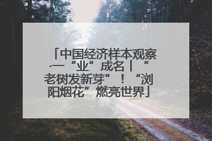 中国经济样本观察·一“业”成名丨“老树发新芽”！“浏阳烟花”燃亮世界