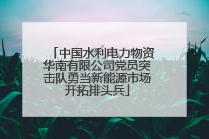 中国水利电力物资华南有限公司党员突击队勇当新能源市场开拓排头兵