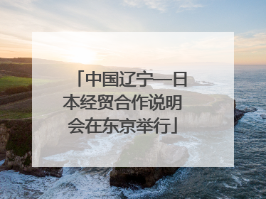 中国辽宁—日本经贸合作说明会在东京举行