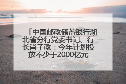 中国邮政储蓄银行湖北省分行党委书记、行长肖子政：今年计划投放不少于2000亿元支持支点建设