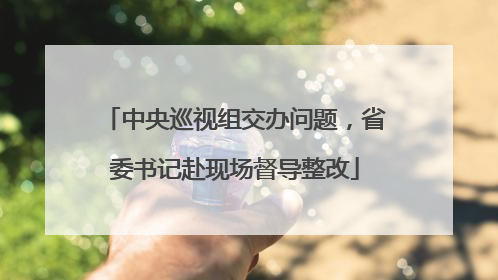 中央巡视组交办问题，省委书记赴现场督导整改