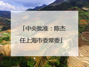 中央批准：陈杰任上海市委常委