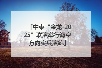中柬“金龙-2025”联演举行海空方向实兵演练