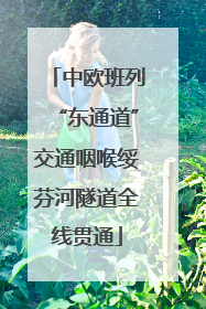 中欧班列“东通道”交通咽喉绥芬河隧道全线贯通
