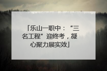 乐山一职中：“三名工程”迎终考，凝心聚力展实效